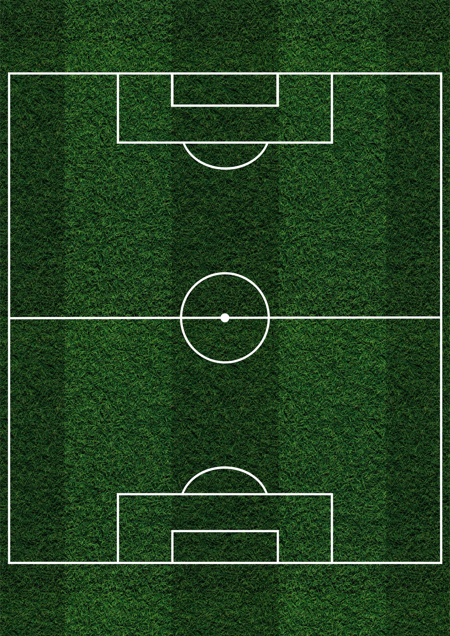 STADIUM campo